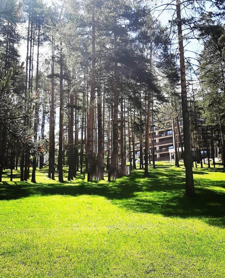 Panorama Lux Apartmani Vila Pekovic Zlatibor Dış mekan fotoğraf